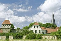Freinsheim