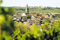 Kallstadt