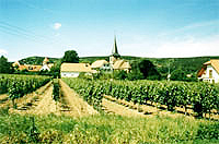 Weisenheim am Berg